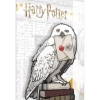 PiNS ON FiRE FiGPiN XL HARRY POTTER HEDWiG #X29 NYCC 2019 EXCLUSiVE 1 PiNS ON FiRE FiGPiN XL HARRY POTTER HEDWiG #X29 NYCC 2019 EXCLUSiVE