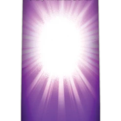 PiNS ON FiRE EXCLUSiVES FiGPiN BATMAN THE ANiMATED SERiES CATWOMAN #477 PiNS ON FiRE EXCLUSiVE